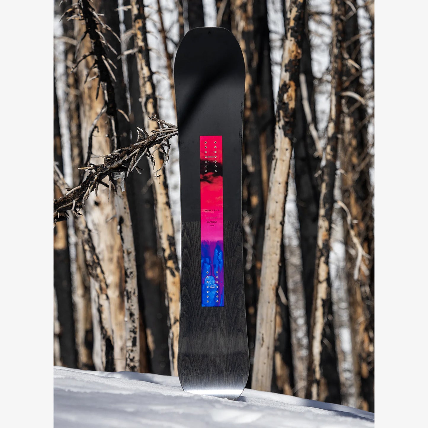 Arbor Rain Snowboard 2026