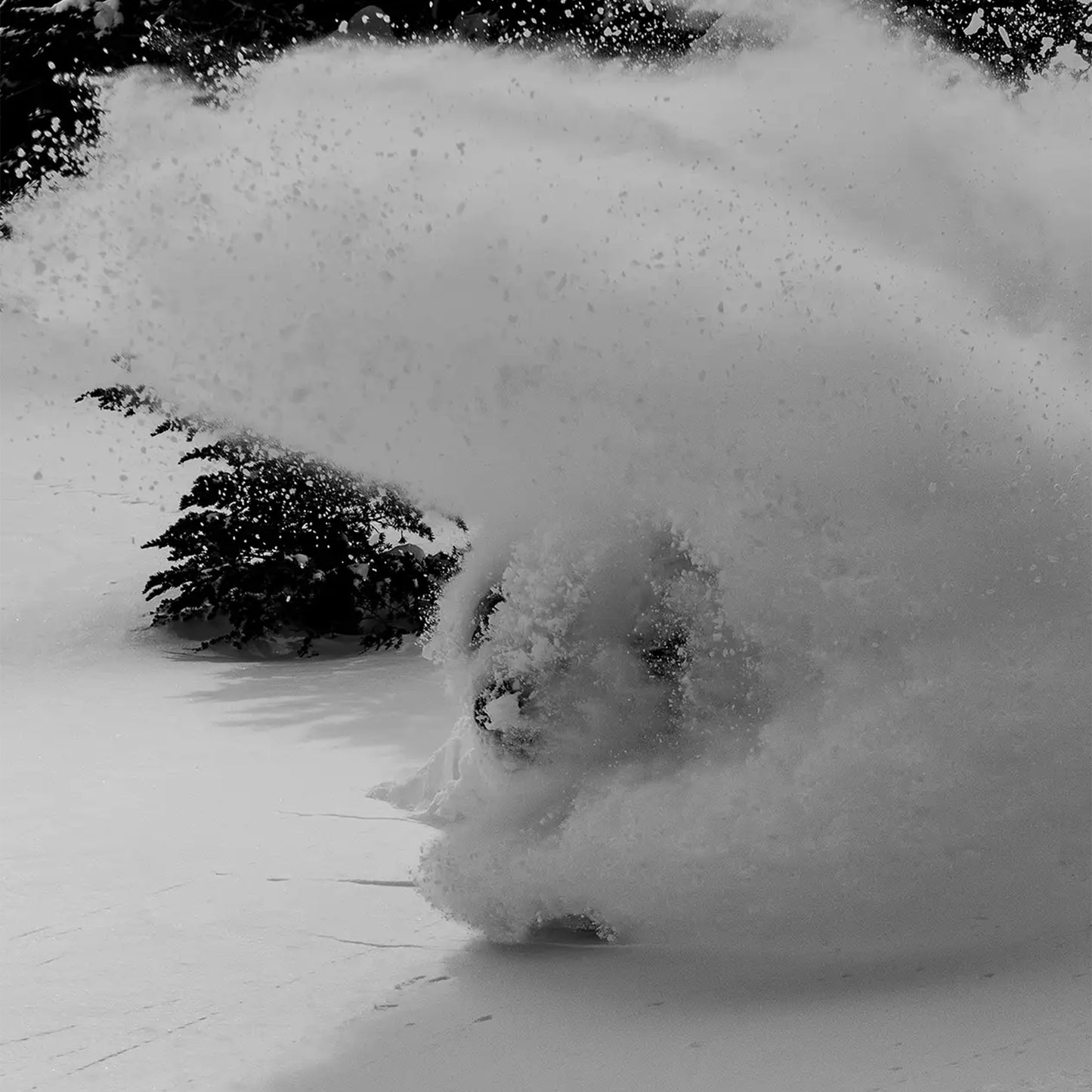 Jones Ultralight Project X Snowboard 2027