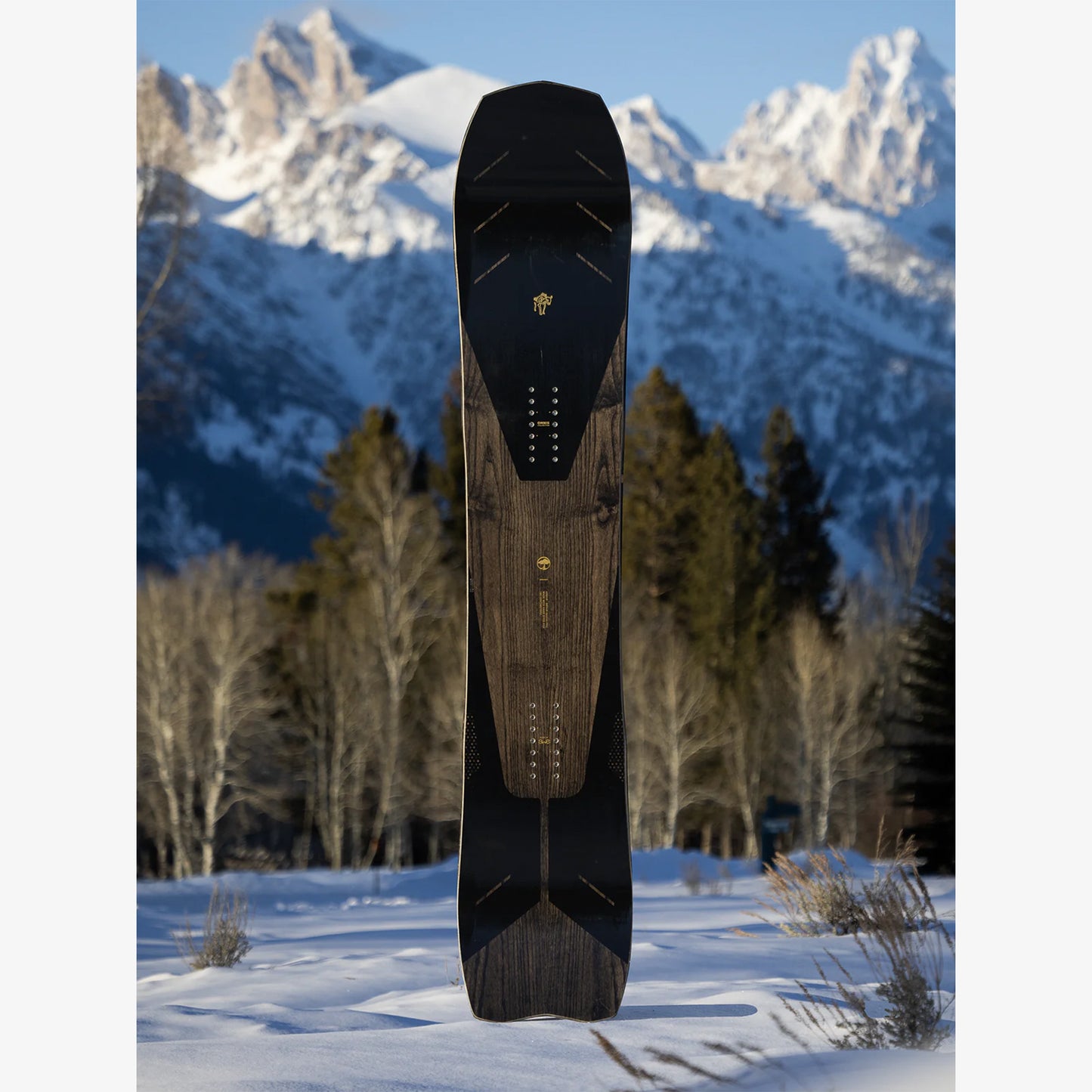 Arbor Brian Iguchi Pro Snowboard 2026