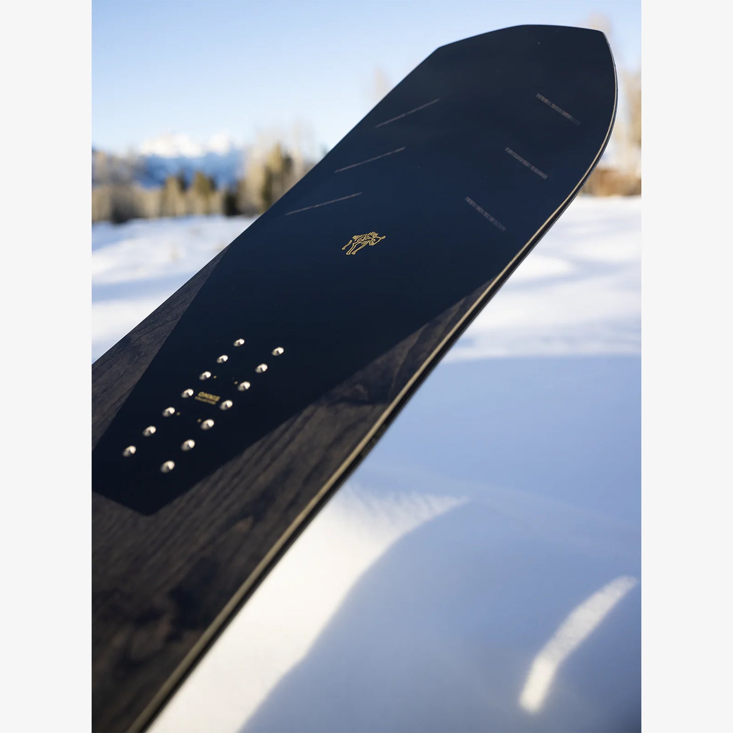 Arbor Brian Iguchi Pro Snowboard 2026