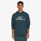 O´Neill Logo Hoodie
