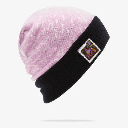 Volcom Team Beanie 2027
