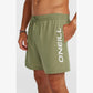 O’Neill LOGO 16 Boardshorts