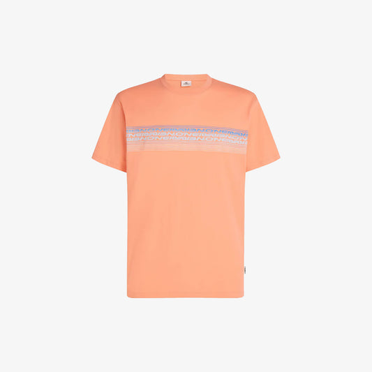 O’Neill LOGO STRIPE T-Shirt