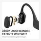 Shokz OpenRun Black USB-C Open Ear Kopfhörer