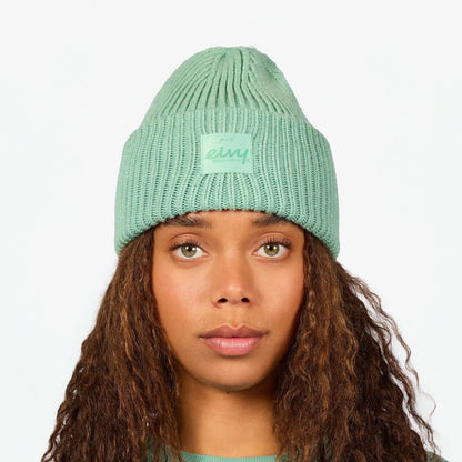 Eivy Tonal Beanie 2027