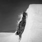 KORUA Café Racer Snowboard 2027
