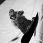 KORUA Otto Snowboard 2027